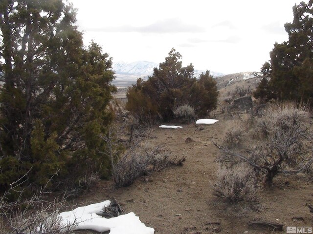1265 Freds Mountain Rd, Reno, NV 89508 - photo 13