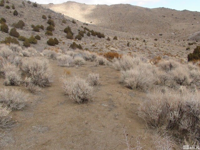 1265 Freds Mountain Rd, Reno, NV 89508 - photo 14