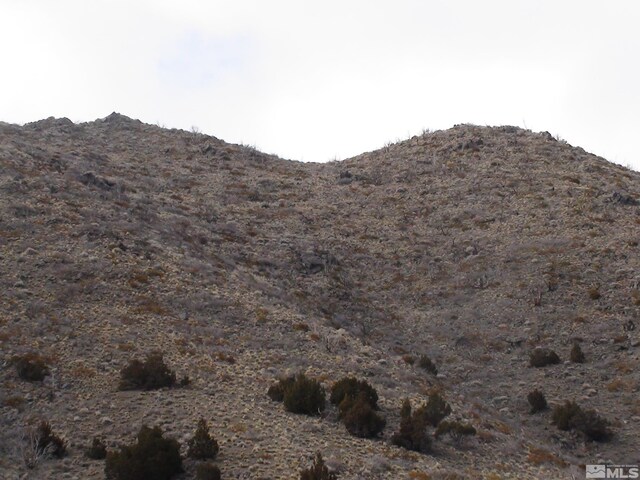 1265 Freds Mountain Rd, Reno, NV 89508 - photo 15