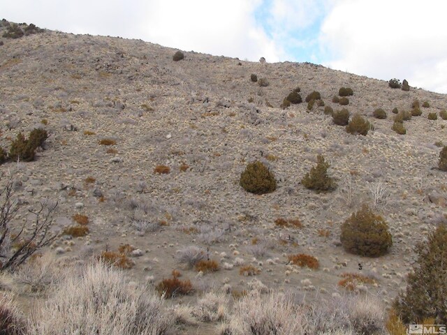 1265 Freds Mountain Rd, Reno, NV 89508 - photo 16