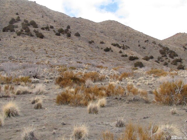 1265 Freds Mountain Rd, Reno, NV 89508 - photo 18