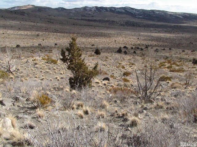 1265 Freds Mountain Rd, Reno, NV 89508 - photo 19