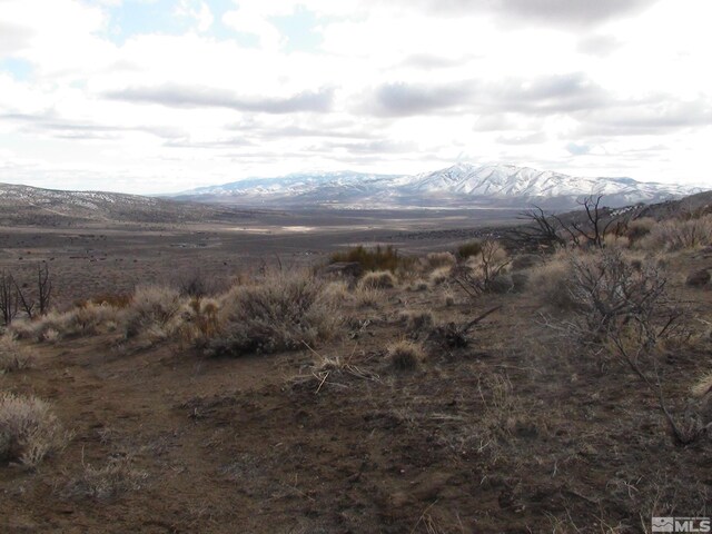 1265 Freds Mountain Rd, Reno, NV 89508 - photo 20