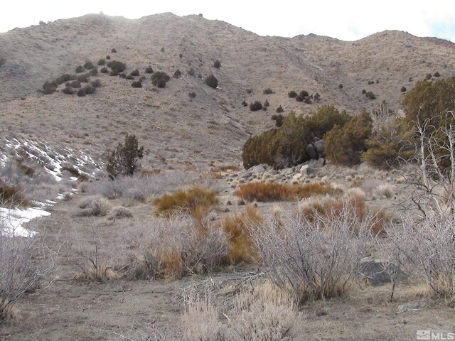1265 Freds Mountain Rd, Reno, NV 89508 - photo 21