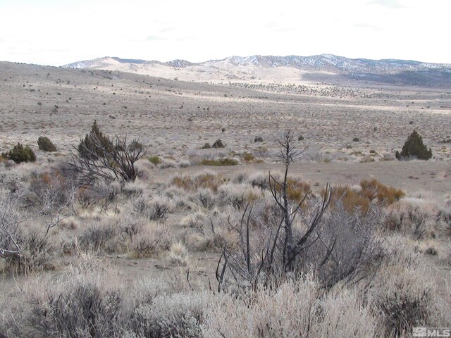 1265 Freds Mountain Rd, Reno, NV 89508 - photo 22