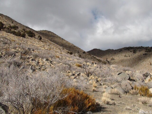 1265 Freds Mountain Rd, Reno, NV 89508 - photo 23