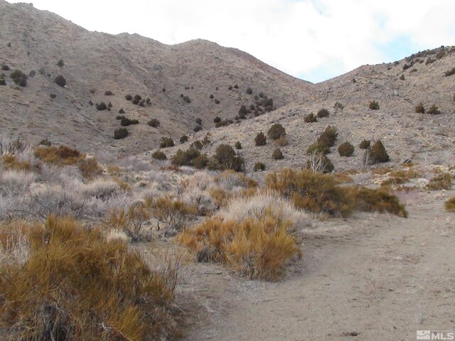 1265 Freds Mountain Rd, Reno, NV 89508 - photo 24