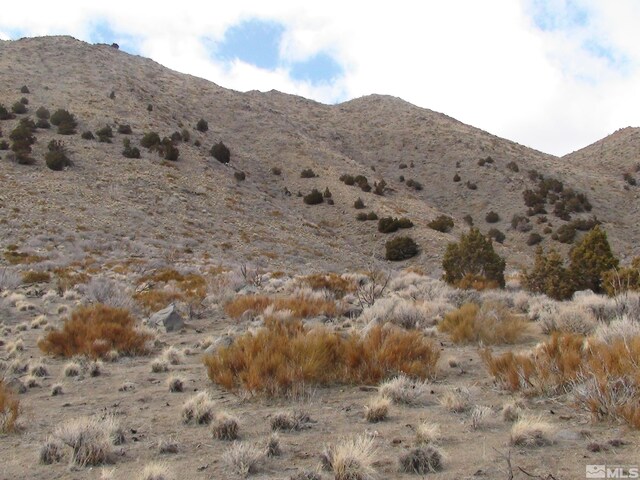 1265 Freds Mountain Rd, Reno, NV 89508 - photo 26