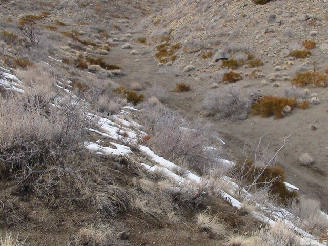 1265 Freds Mountain Rd, Reno, NV 89508 - photo 28