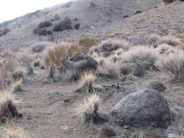 1265 Freds Mountain Rd, Reno, NV 89508 - photo 29