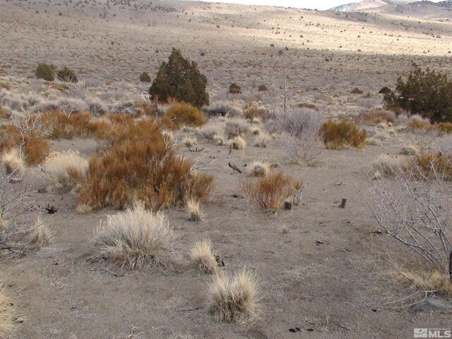 1265 Freds Mountain Rd, Reno, NV 89508 - photo 32