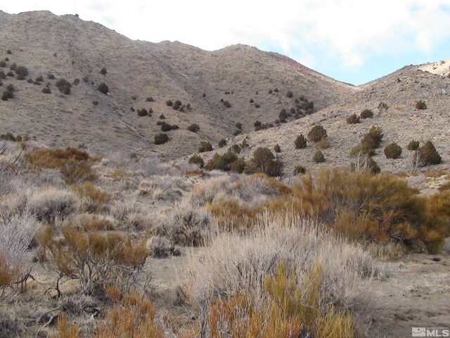 1265 Freds Mountain Rd, Reno, NV 89508 - photo 33