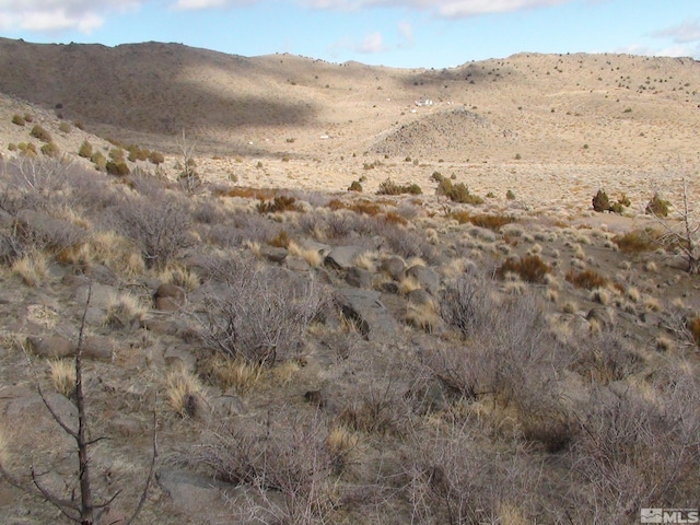 1265 Freds Mountain Rd, Reno, NV 89508 - photo 36