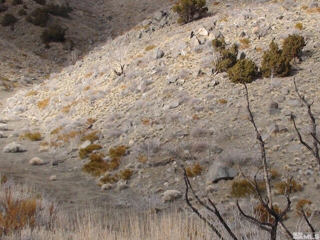 1265 Freds Mountain Rd, Reno, NV 89508 - photo 37