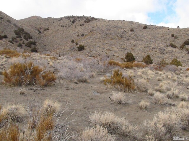 1265 Freds Mountain Rd, Reno, NV 89508 - photo 38