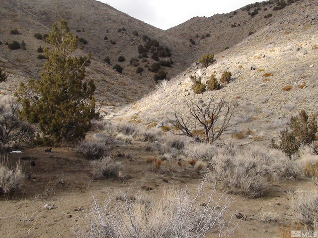 1265 Freds Mountain Rd, Reno, NV 89508 - photo 39