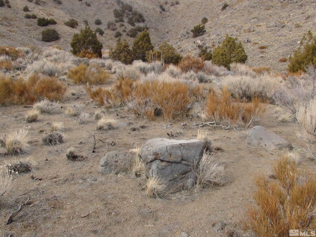 1265 Freds Mountain Rd, Reno, NV 89508 - photo 40
