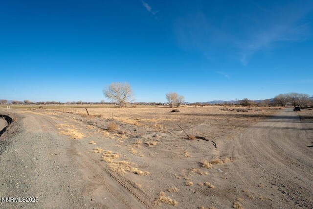 14 Ashley Dr, Yerington, NV 89447 - photo 41