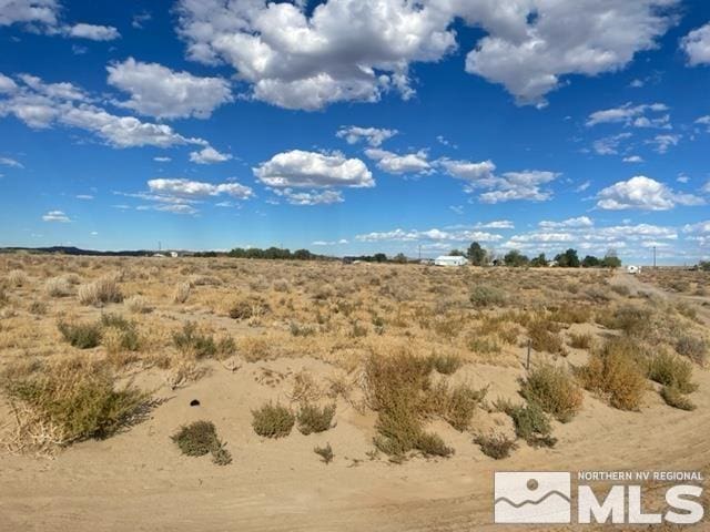 1595 E Erimine, Silver Springs, NV 89429 - photo 1