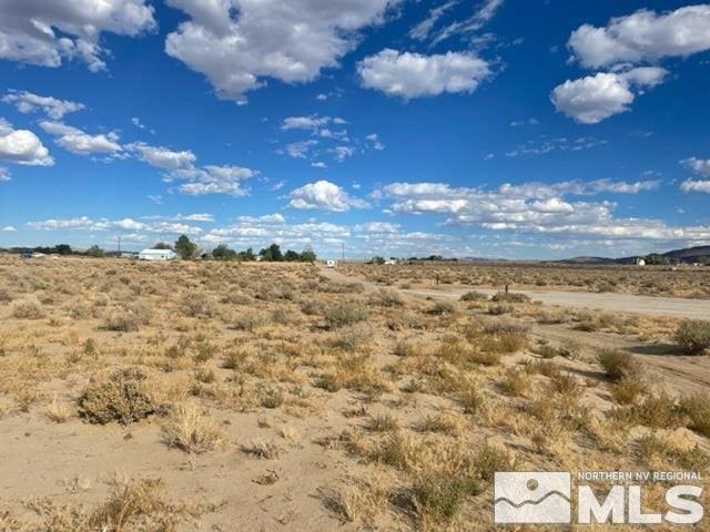 1595 E Erimine, Silver Springs, NV 89429 - photo 2