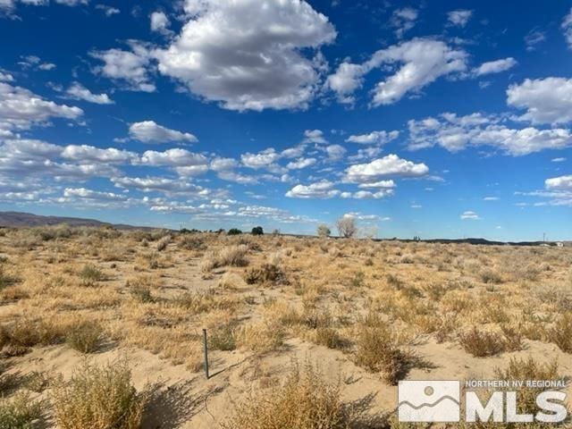 1595 E Erimine, Silver Springs, NV 89429 - photo 3