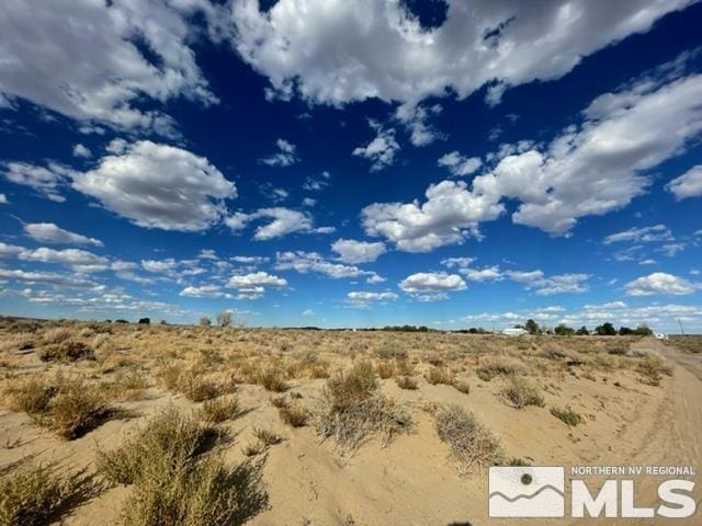 1595 E Erimine, Silver Springs, NV 89429 - photo 4