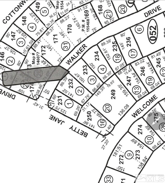 450 Walker Dr, Walker Lake, NV 89415