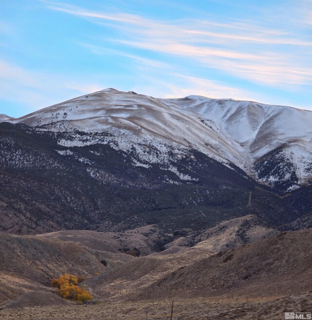 450 Walker Dr, Walker Lake, NV 89415