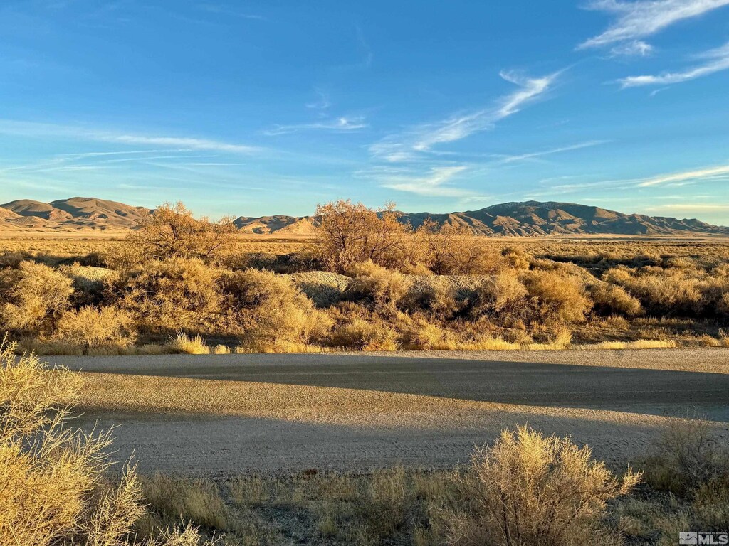 2520 Old Emigrant Rd, Lovelock, NV 89419