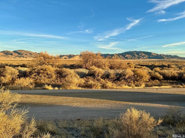 2520 Old Emigrant Rd, Lovelock, NV 89419