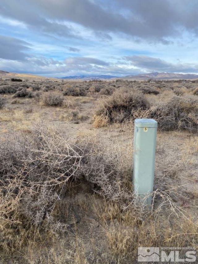 4290 Veterans Memorial Hwy, Silver Springs, NV 89429 - photo 3