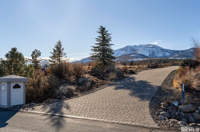 229 S Earlham Ct, Reno, NV 89511
