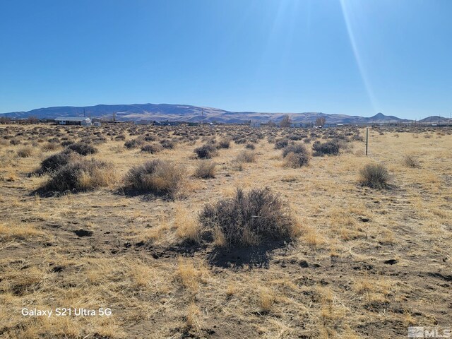 1100 E Antelope St, Silver Springs, NV 89429
