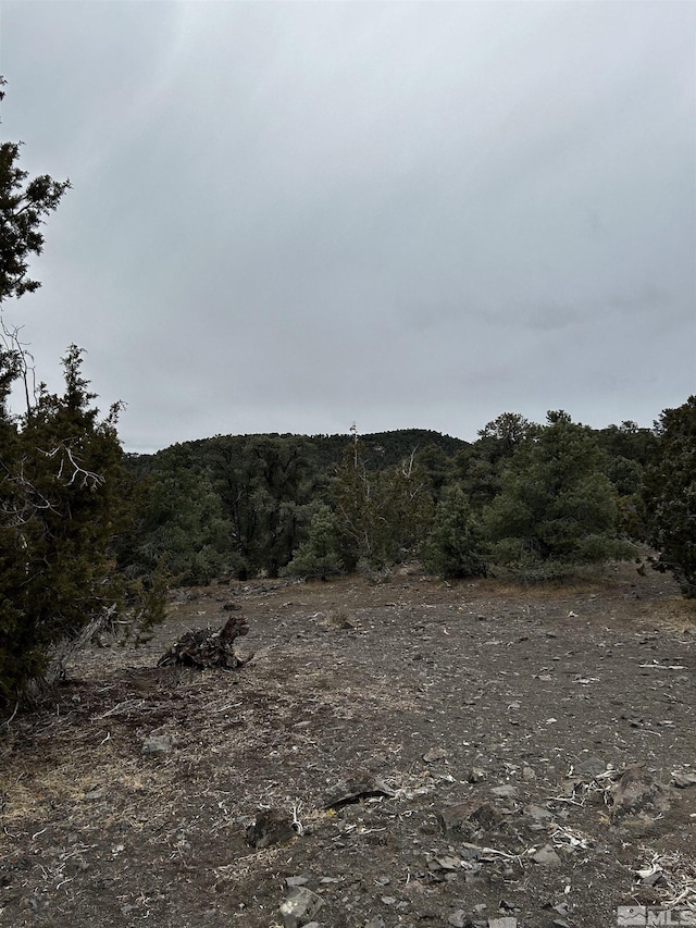 2035 Silverado Rd, Reno, NV 89521