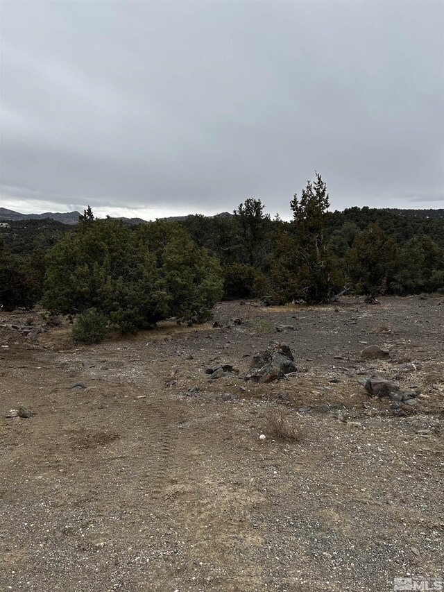 2035 Silverado Rd, Reno, NV 89521