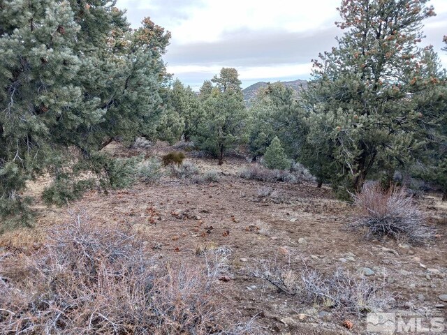 21330 Sazarac Rd, Reno, NV 89521