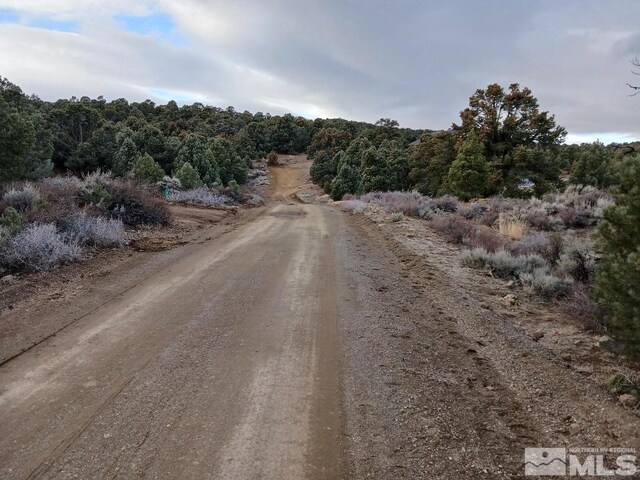 21330 Sazarac Rd, Reno, NV 89521