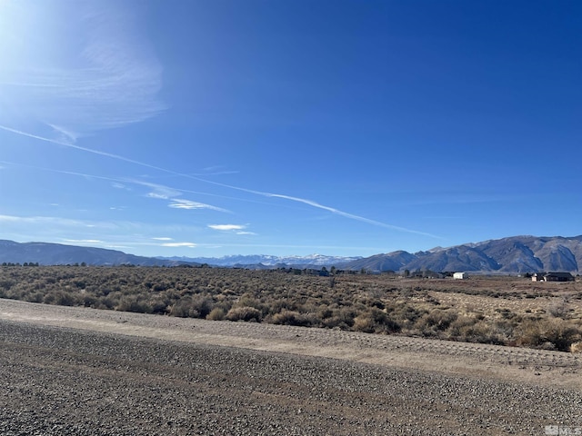 260 Mount Grant, Smith, NV 89430 - photo 3