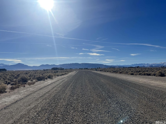 260 Mount Grant, Smith, NV 89430 - photo 4