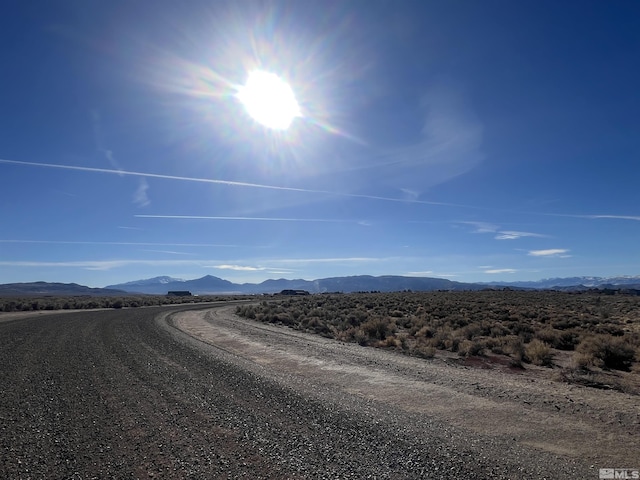 260 Mount Grant, Smith, NV 89430 - photo 5