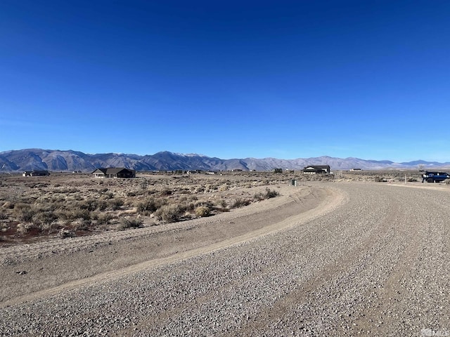 260 Mount Grant, Smith, NV 89430 - photo 6