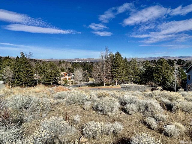 2815 Lakeridge, Reno, NV 89519 - photo 19