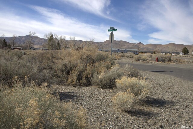 7 Calico Hills Ln, Yerington, NV 89447 - photo 3