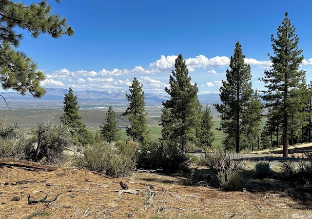 220 Overlook Dr, Carson City, NV 89705