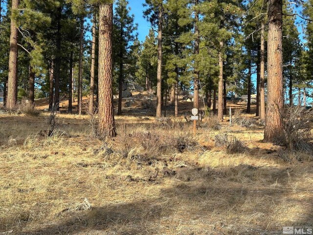 220 Overlook Dr, Carson City, NV 89705