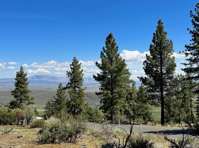 220 Overlook Dr, Carson City, NV 89705