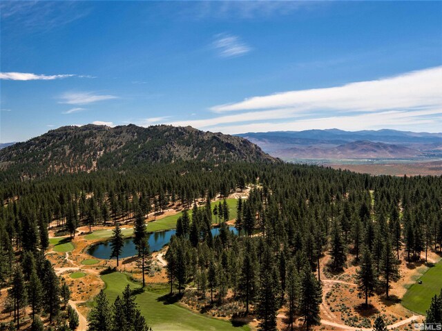 220 Overlook Dr, Carson City, NV 89705