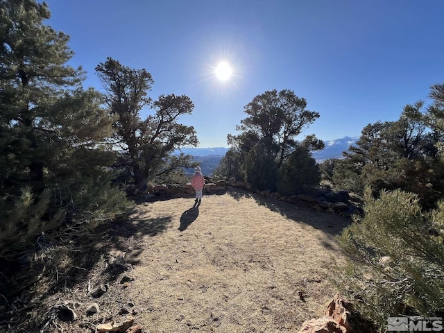 2940 Union Rd, Reno, NV 89521