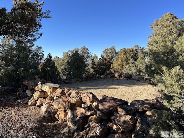 2940 Union Rd, Reno, NV 89521