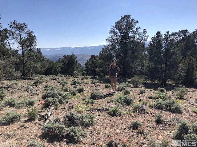 2940 Union Rd, Reno, NV 89521